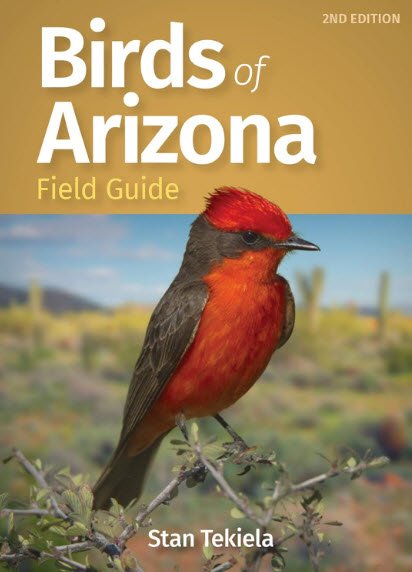 Birds of Arizona Field Guide (Bird Identification Guides) | USAvora